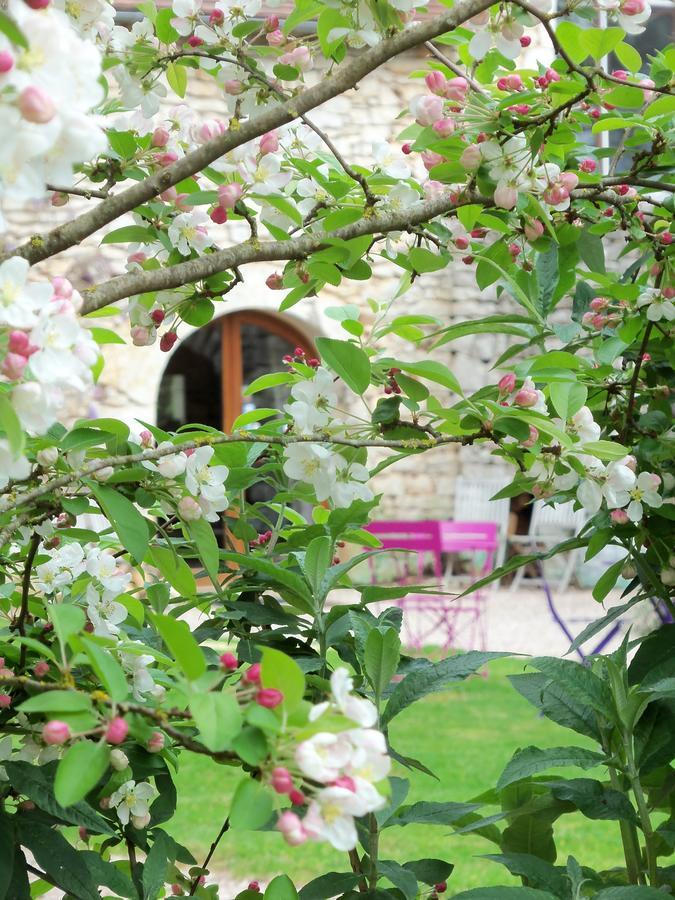 Chambres Et Jardin De Pierres Espedaillac Екстер'єр фото